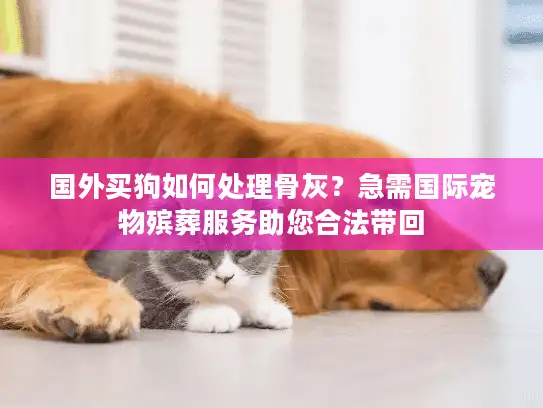 国外买狗如何处理骨灰？急需国际宠物殡葬服务助您合法带回
