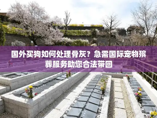国外买狗如何处理骨灰？急需国际宠物殡葬服务助您合法带回