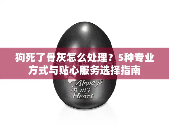 狗死了骨灰怎么处理？5种专业方式与贴心服务选择指南