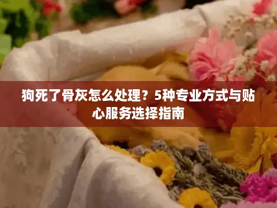 狗死了骨灰怎么处理？5种专业方式与贴心服务选择指南