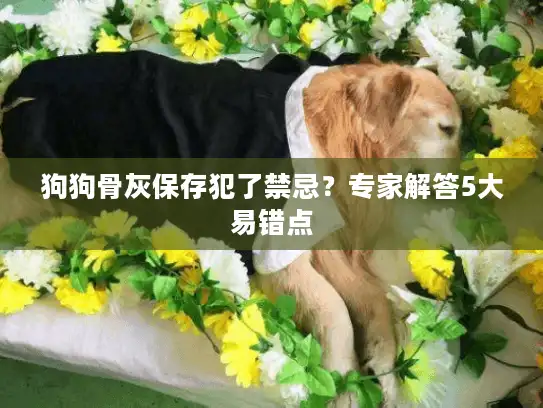 狗狗骨灰保存犯了禁忌？专家解答5大易错点