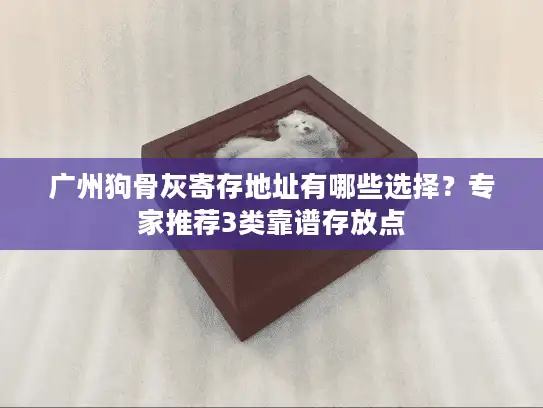 广州狗骨灰寄存地址有哪些选择？专家推荐3类靠谱存放点