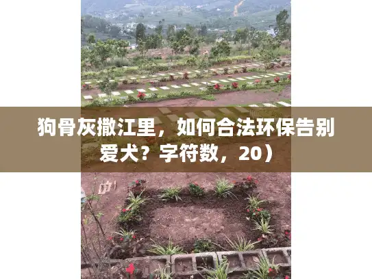 狗骨灰撒江里，如何合法环保告别爱犬？字符数，20）