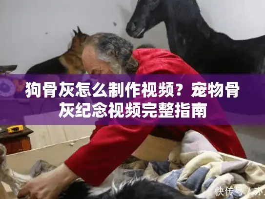 狗骨灰怎么制作视频？宠物骨灰纪念视频完整指南