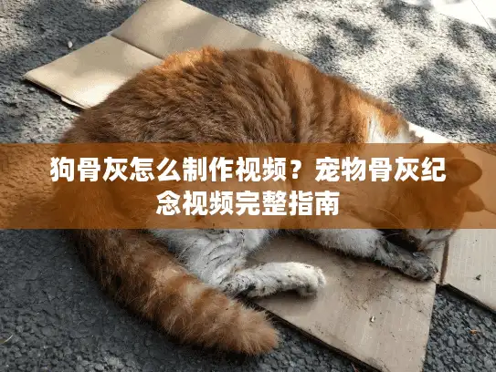 狗骨灰怎么制作视频？宠物骨灰纪念视频完整指南