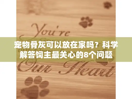 宠物骨灰可以放在家吗？科学解答饲主最关心的8个问题
