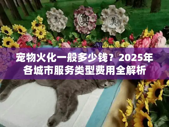 宠物火化一般多少钱？2025年各城市服务类型费用全解析