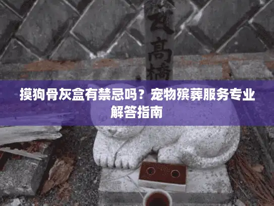 摸狗骨灰盒有禁忌吗？宠物殡葬服务专业解答指南