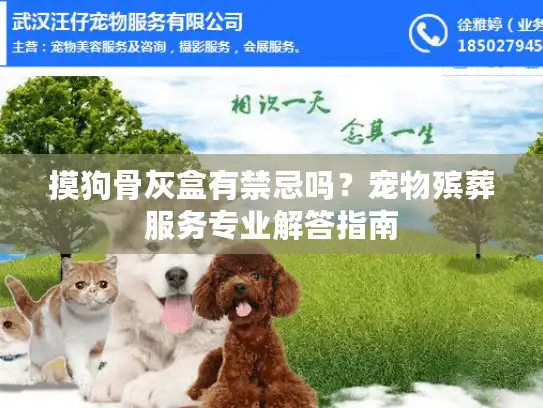 摸狗骨灰盒有禁忌吗？宠物殡葬服务专业解答指南