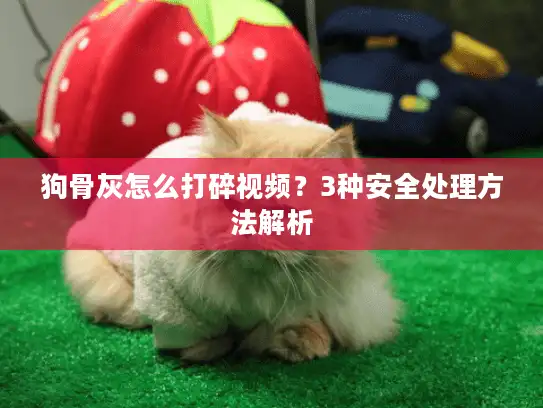 狗骨灰怎么打碎视频？3种安全处理方法解析