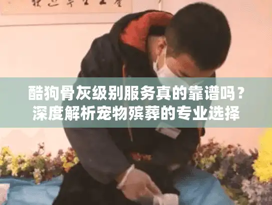 酷狗骨灰级别服务真的靠谱吗？深度解析宠物殡葬的专业选择