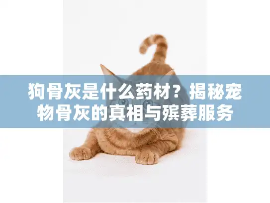 狗骨灰是什么药材？揭秘宠物骨灰的真相与殡葬服务
