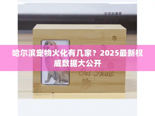 哈尔滨宠物火化有几家？2025最新权威数据大公开