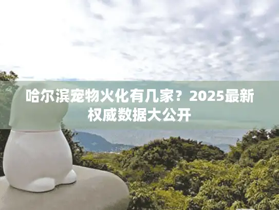 哈尔滨宠物火化有几家？2025最新权威数据大公开