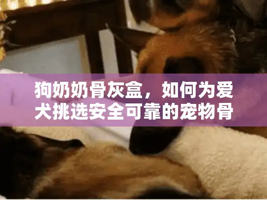 狗奶奶骨灰盒，如何为爱犬挑选安全可靠的宠物骨灰盒？