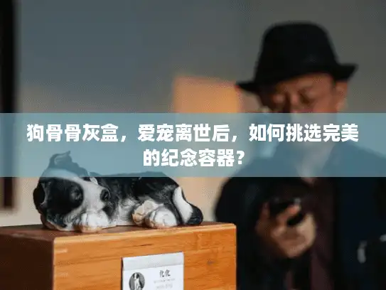 狗骨骨灰盒，爱宠离世后，如何挑选完美的纪念容器？