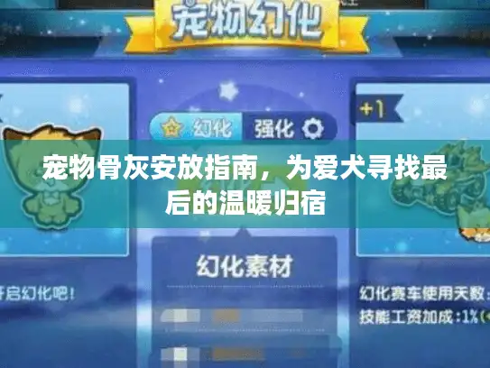 宠物骨灰安放指南，为爱犬寻找最后的温暖归宿