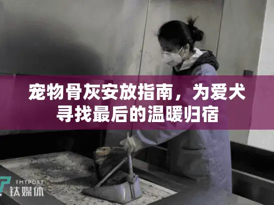 宠物骨灰安放指南，为爱犬寻找最后的温暖归宿