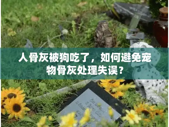 人骨灰被狗吃了，如何避免宠物骨灰处理失误？
