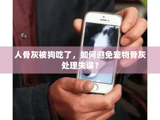 人骨灰被狗吃了，如何避免宠物骨灰处理失误？