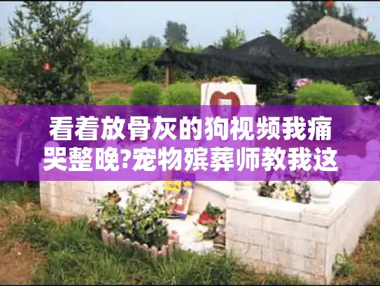 看着放骨灰的狗视频我痛哭整晚?宠物殡葬师教我这样告别爱犬