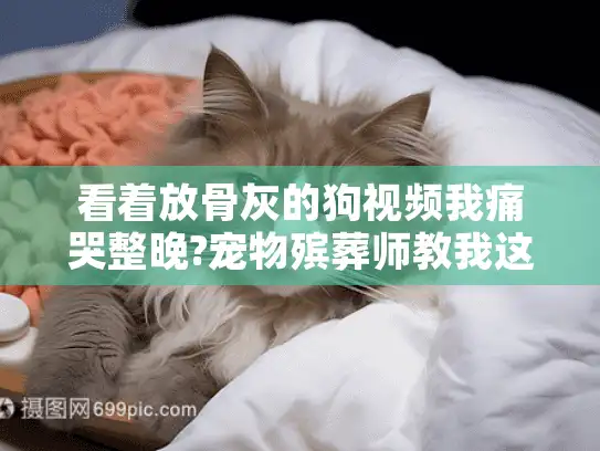 看着放骨灰的狗视频我痛哭整晚?宠物殡葬师教我这样告别爱犬