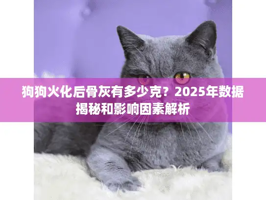 狗狗火化后骨灰有多少克？2025年数据揭秘和影响因素解析