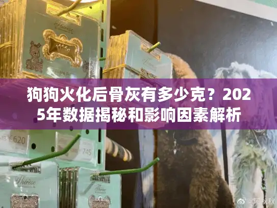 狗狗火化后骨灰有多少克？2025年数据揭秘和影响因素解析