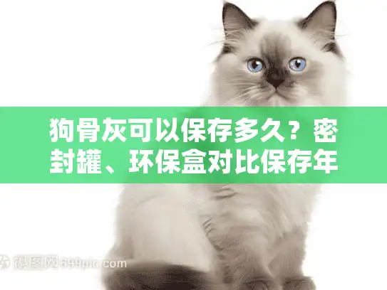 狗骨灰可以保存多久？密封罐、环保盒对比保存年限数据