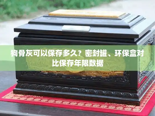 狗骨灰可以保存多久？密封罐、环保盒对比保存年限数据