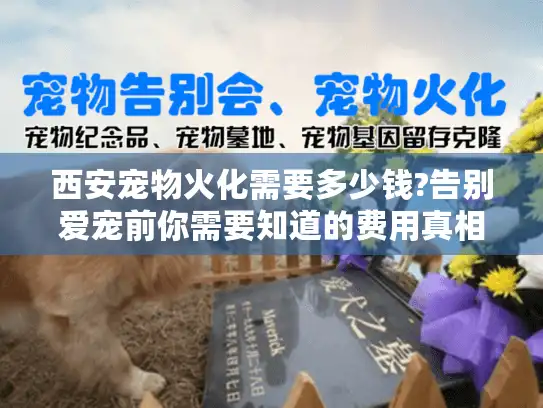 西安宠物火化需要多少钱?告别爱宠前你需要知道的费用真相