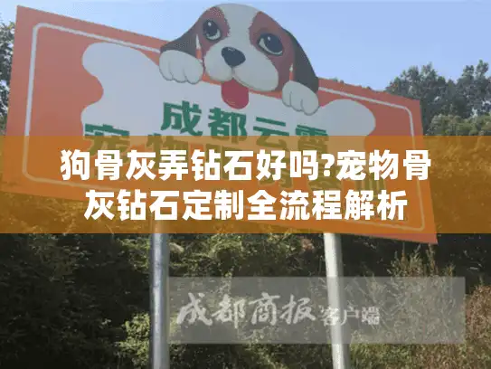 狗骨灰弄钻石好吗?宠物骨灰钻石定制全流程解析