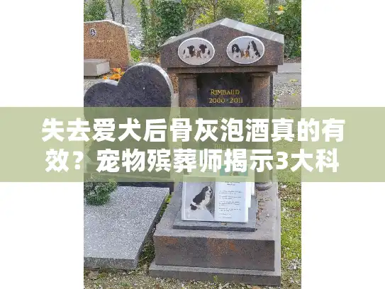 失去爱犬后骨灰泡酒真的有效？宠物殡葬师揭示3大科学善后方式