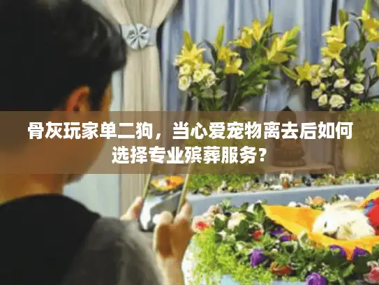 骨灰玩家单二狗，当心爱宠物离去后如何选择专业殡葬服务？
