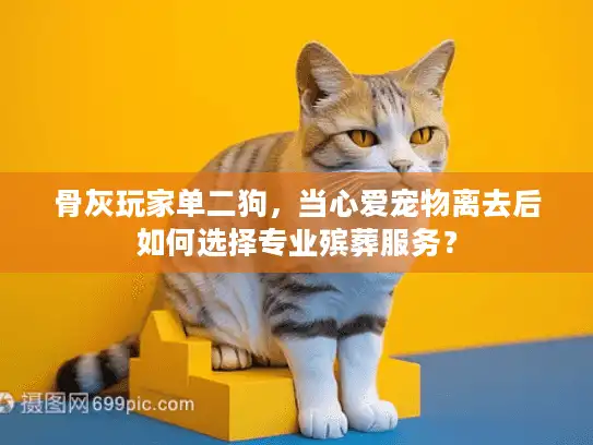 骨灰玩家单二狗，当心爱宠物离去后如何选择专业殡葬服务？