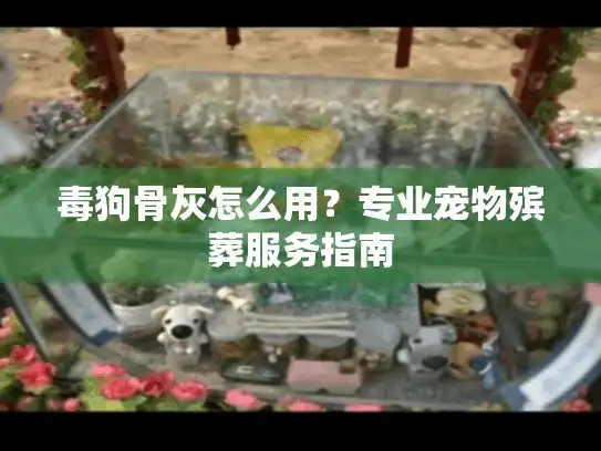 毒狗骨灰怎么用？专业宠物殡葬服务指南