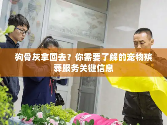 狗骨灰拿回去？你需要了解的宠物殡葬服务关键信息