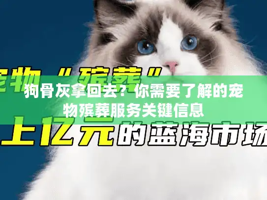 狗骨灰拿回去？你需要了解的宠物殡葬服务关键信息