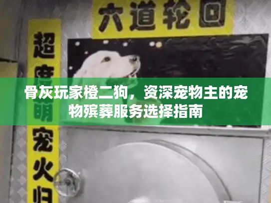 骨灰玩家橙二狗，资深宠物主的宠物殡葬服务选择指南