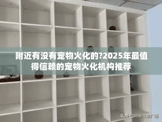 附近有没有宠物火化的?2025年最值得信赖的宠物火化机构推荐