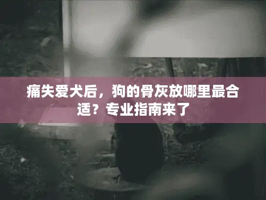 痛失爱犬后，狗的骨灰放哪里最合适？专业指南来了
