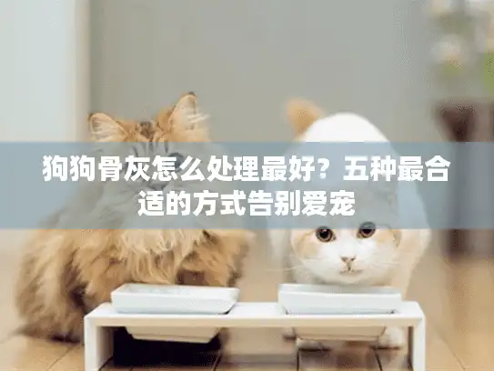 狗狗骨灰怎么处理最好？五种最合适的方式告别爱宠