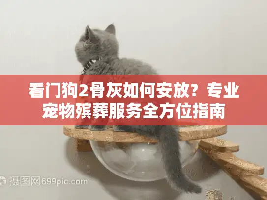 看门狗2骨灰如何安放？专业宠物殡葬服务全方位指南