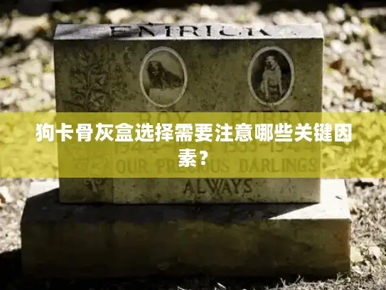狗卡骨灰盒选择需要注意哪些关键因素？