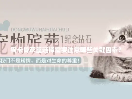 狗卡骨灰盒选择需要注意哪些关键因素？