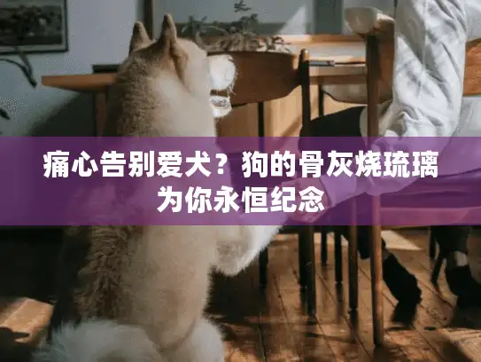 痛心告别爱犬？狗的骨灰烧琉璃为你永恒纪念
