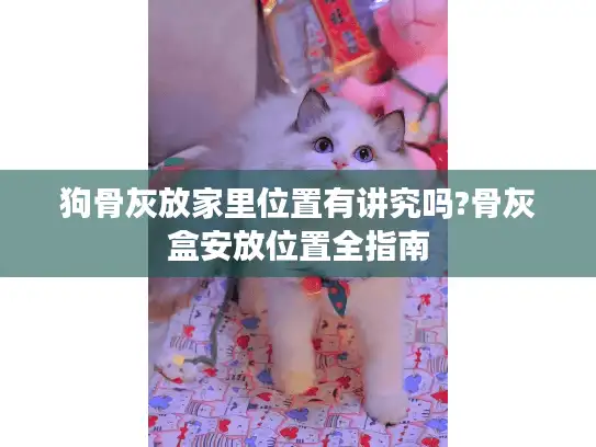 狗骨灰放家里位置有讲究吗?骨灰盒安放位置全指南