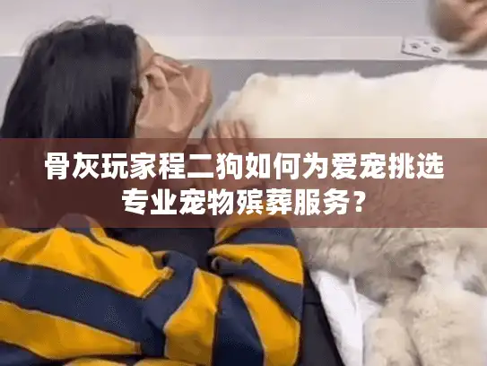 骨灰玩家程二狗如何为爱宠挑选专业宠物殡葬服务？