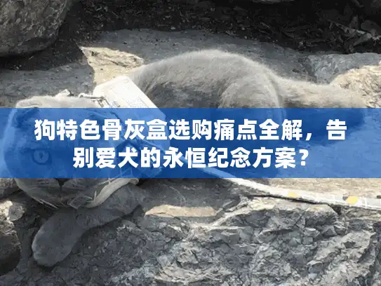 狗特色骨灰盒选购痛点全解，告别爱犬的永恒纪念方案？
