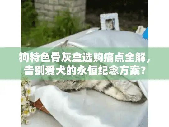 狗特色骨灰盒选购痛点全解，告别爱犬的永恒纪念方案？